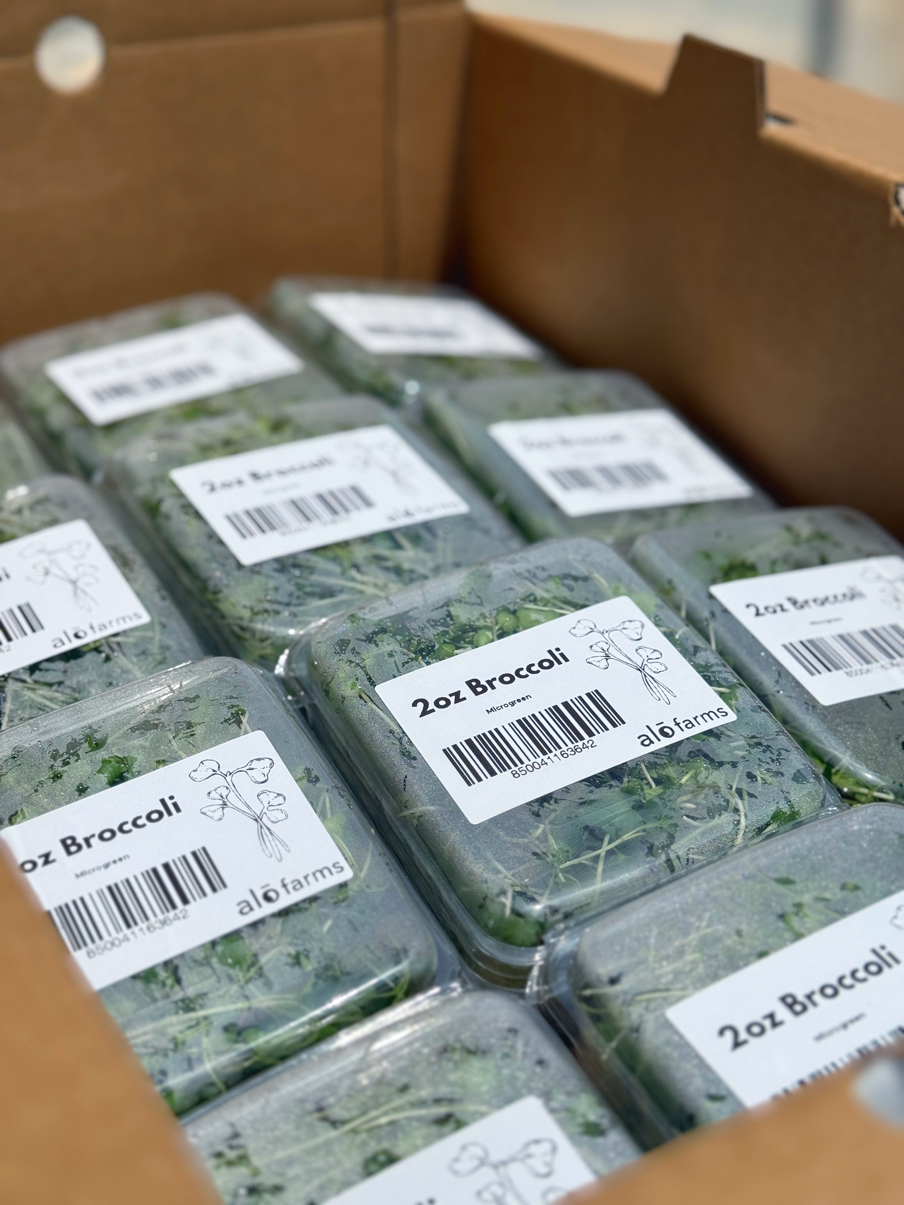 12ct Retail Case - 2oz Micro Broccoli