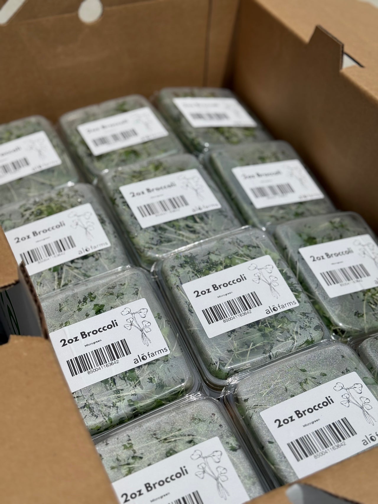 12ct Retail Case - 2oz Micro Broccoli