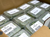 12ct Retail Case - 2oz Rainbow Mix Microgreens