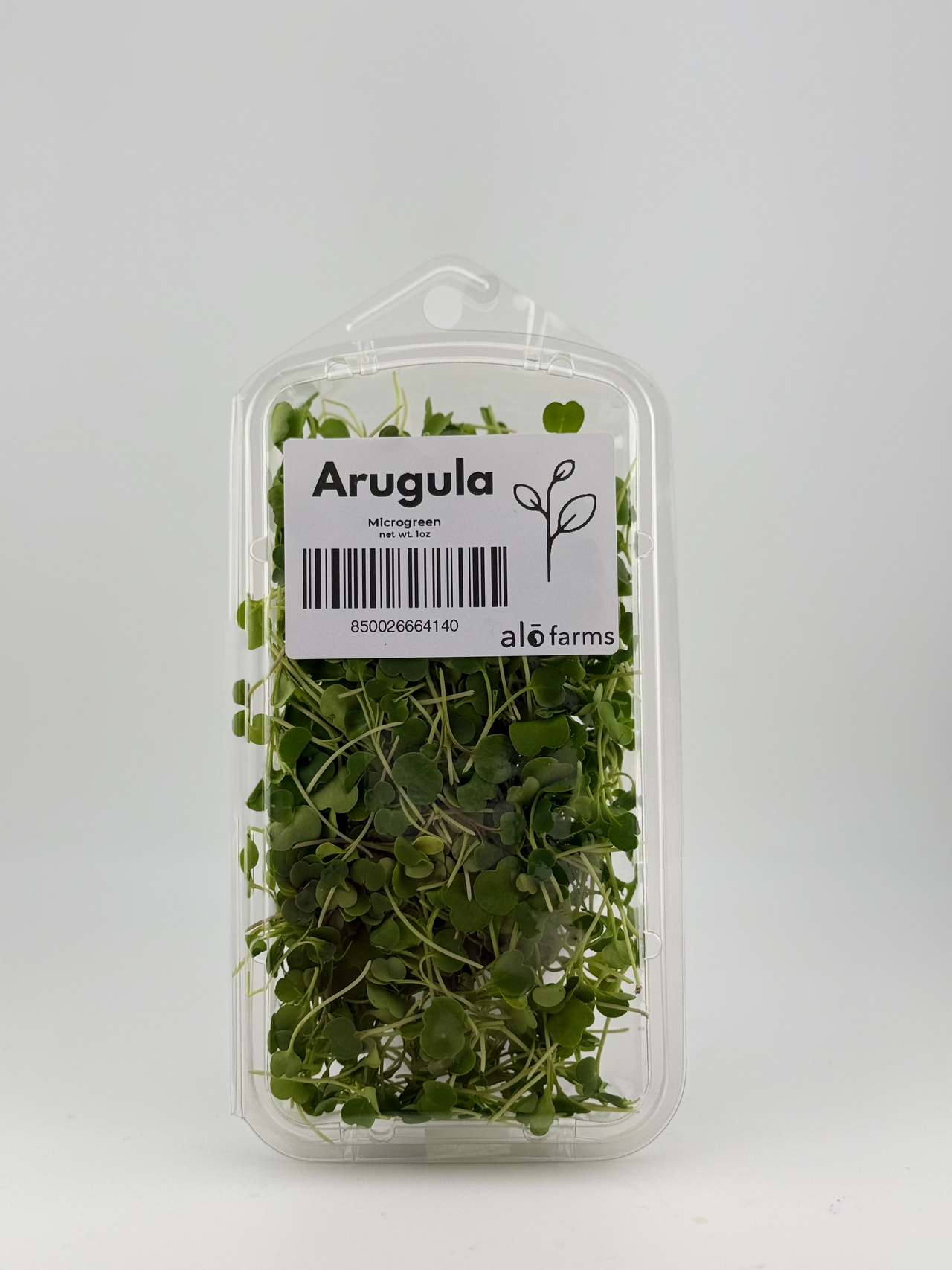 Arugula Microgreen - 1oz