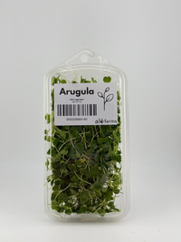 Arugula Microgreen - 1oz