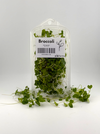 Broccoli Microgreen - 1oz