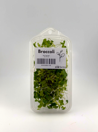 Broccoli Microgreen - 1oz