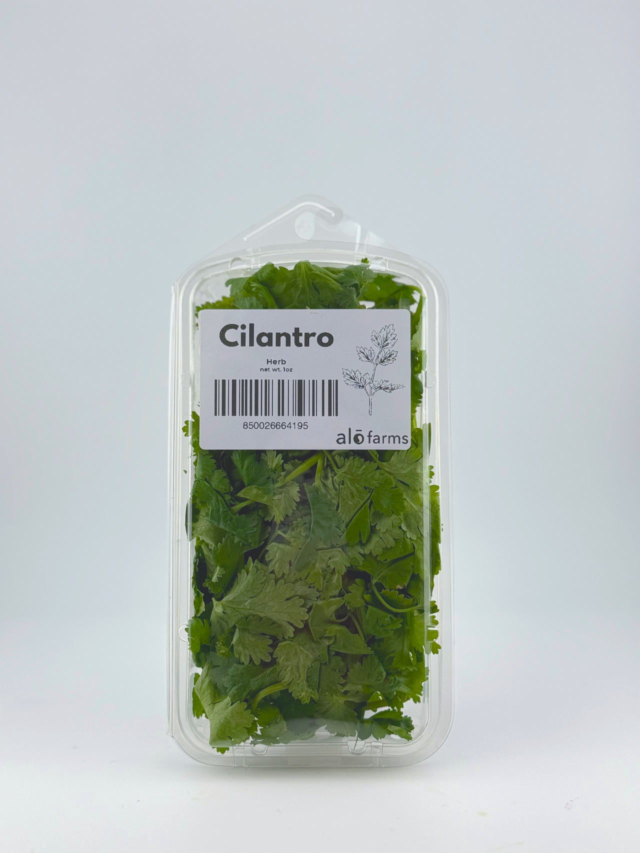 Cilantro - 1oz