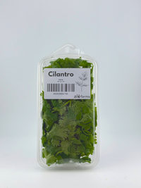 Cilantro - 1oz