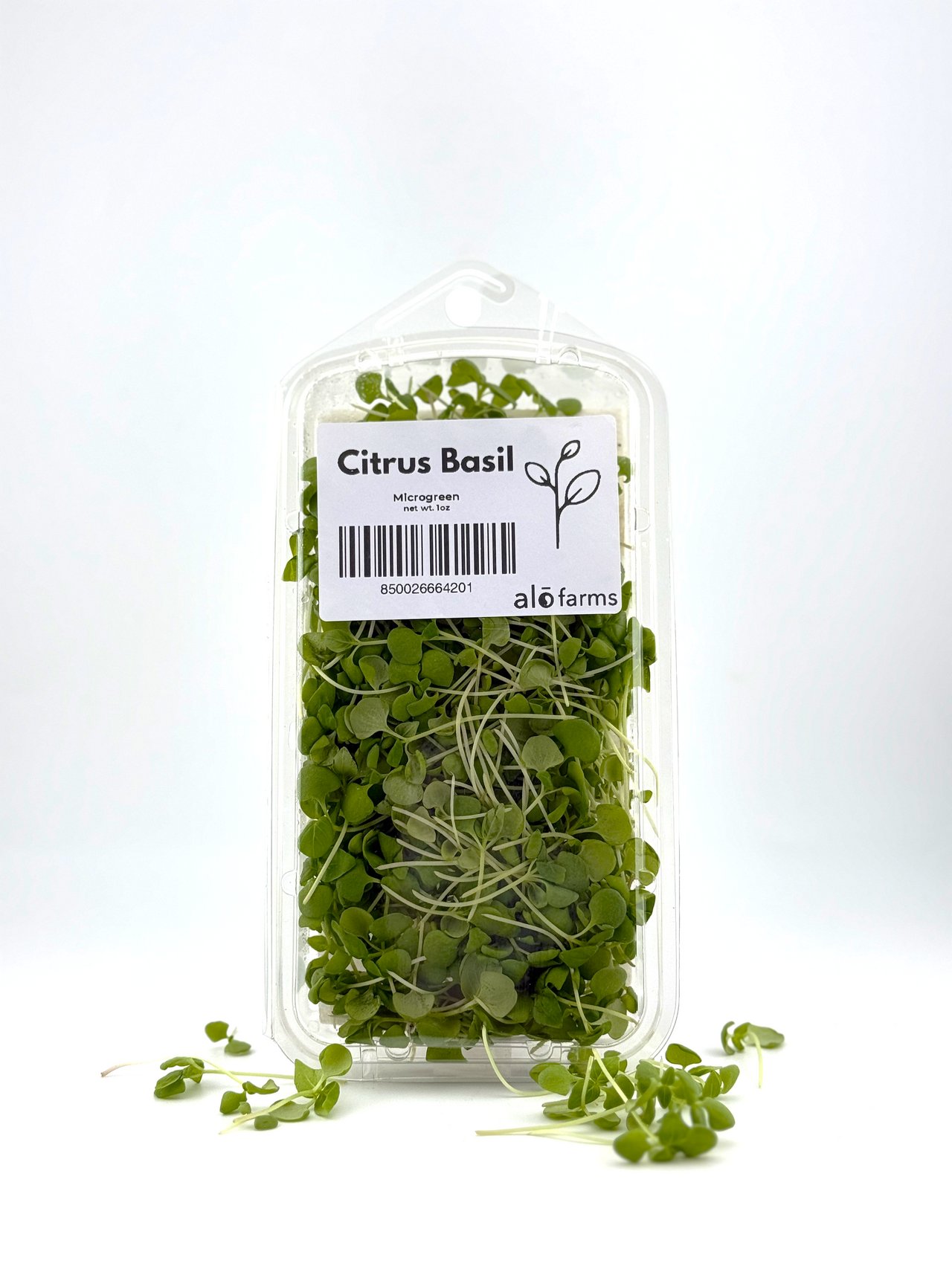Citrus Basil Microgreen - 1oz