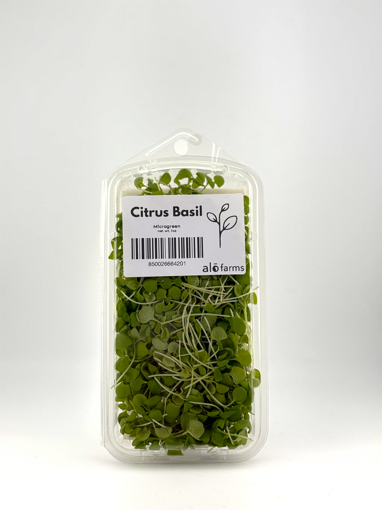 Citrus Basil Microgreen - 1oz