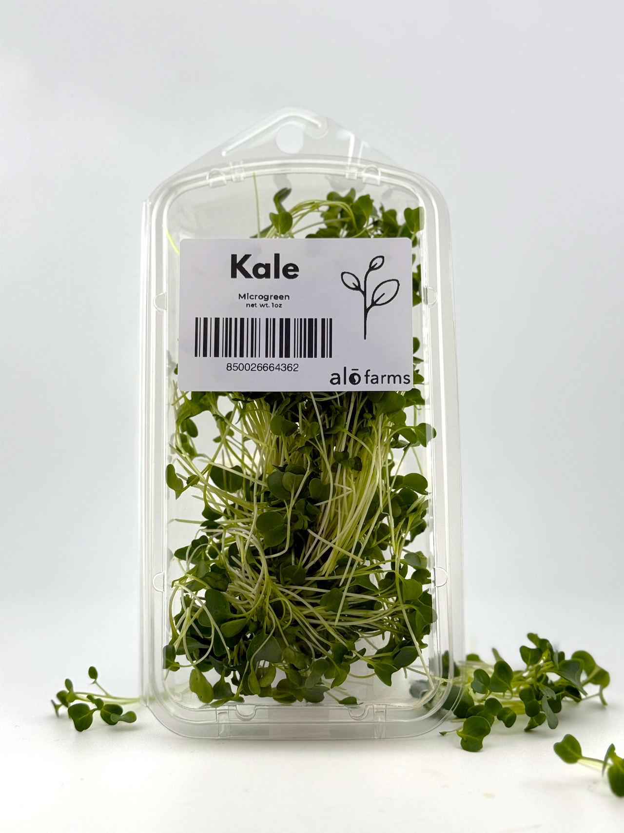 Kale Microgreen - 1oz