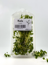 Kale Microgreen - 1oz