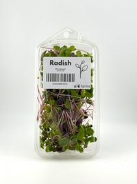 Radish Microgreen - 1oz