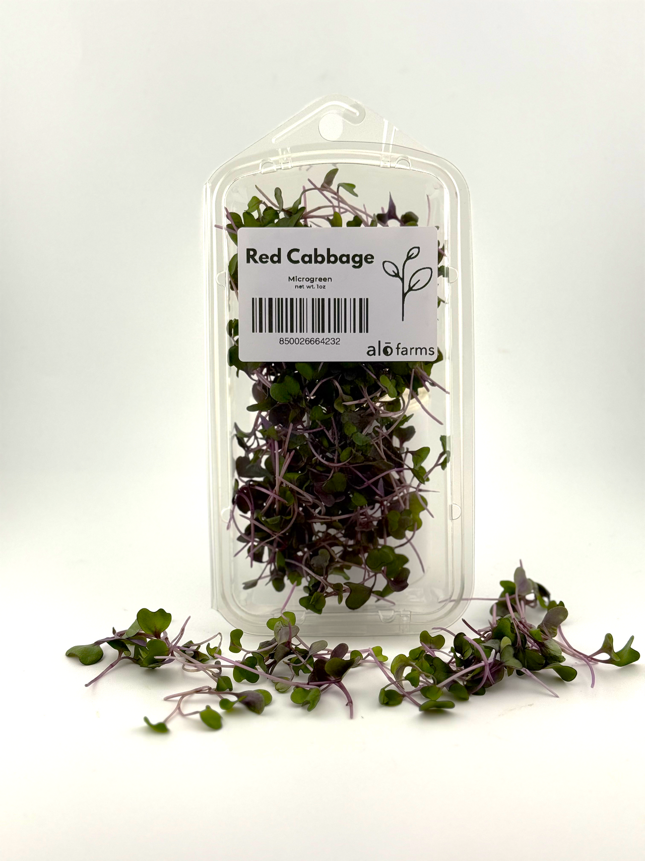 Red Cabbage Microgreen - 1oz
