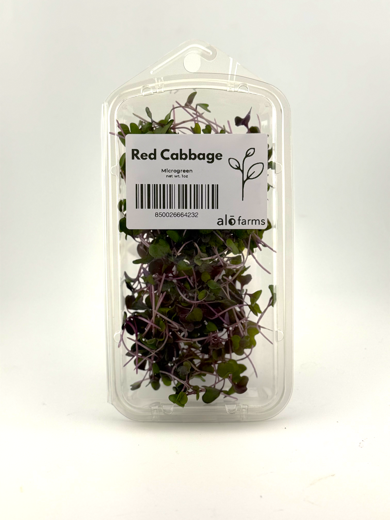 18ct - 1oz Red Cabbage Microgreens