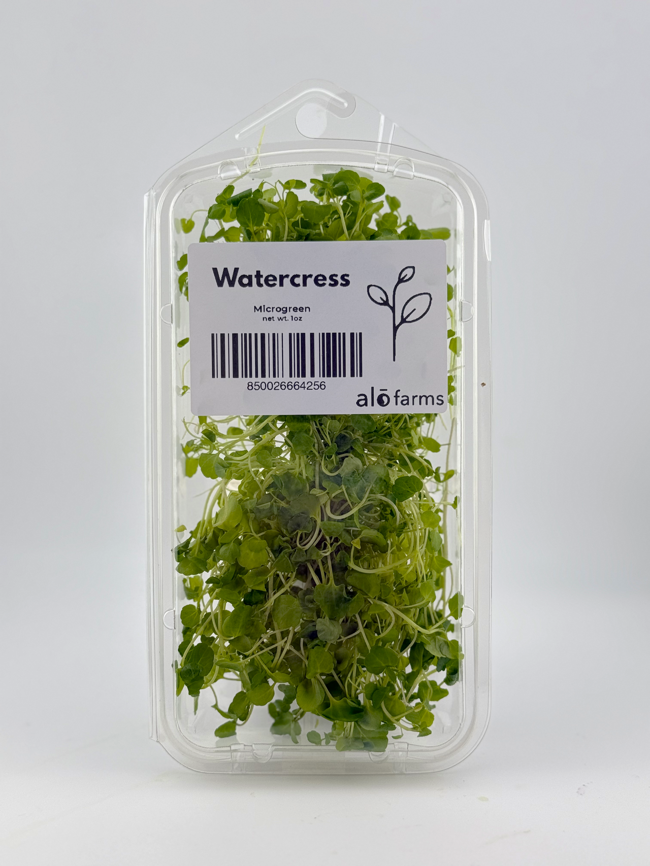Watercress