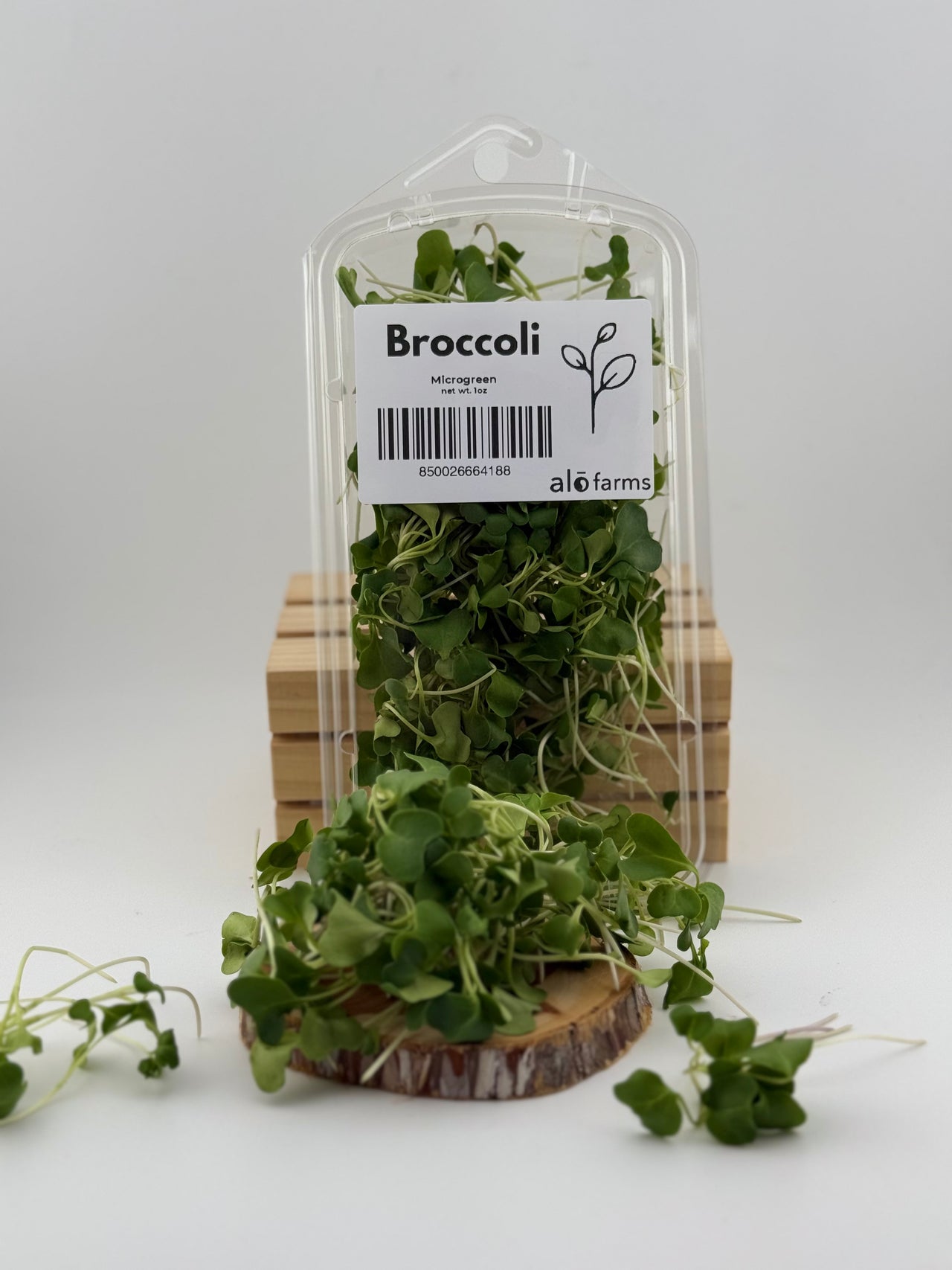 18ct - 1oz Broccoli Microgreen