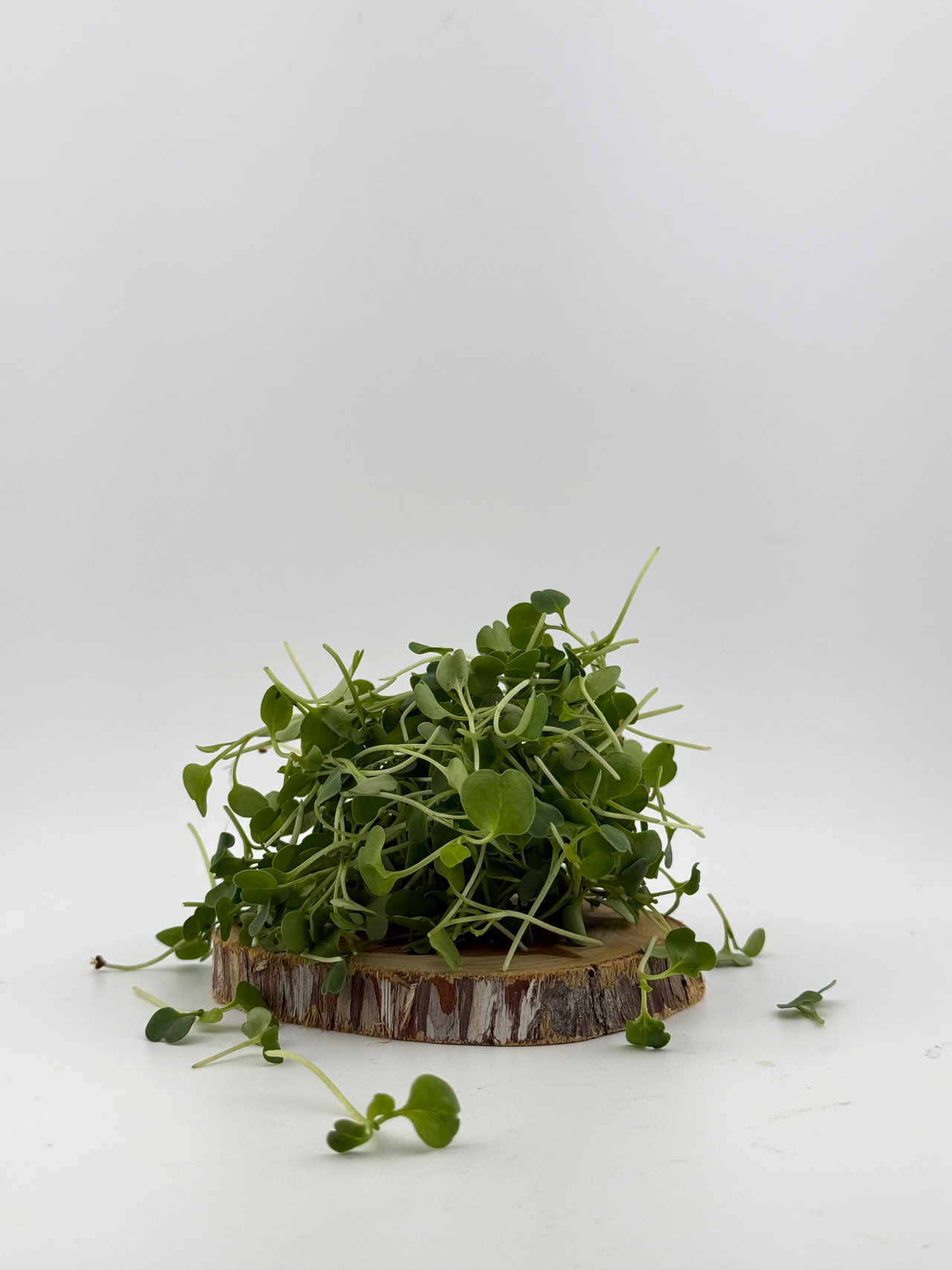 Arugula Microgreen - 1oz