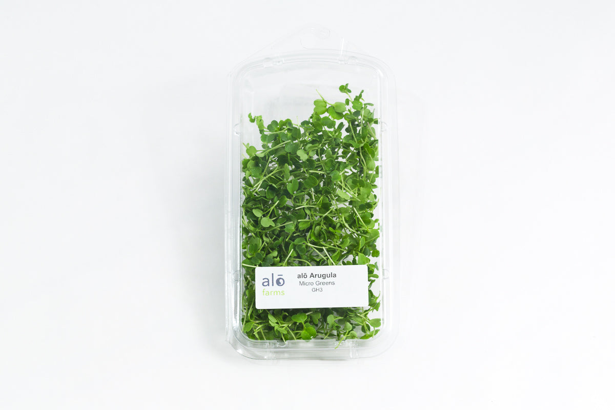 18ct - 1oz Arugula Microgreen