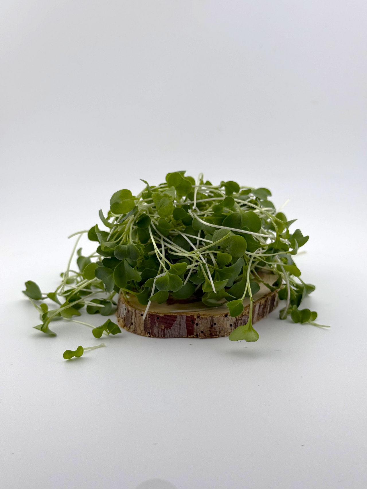 Broccoli Microgreen - 2oz