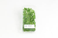 18ct - 1oz Broccoli Microgreen