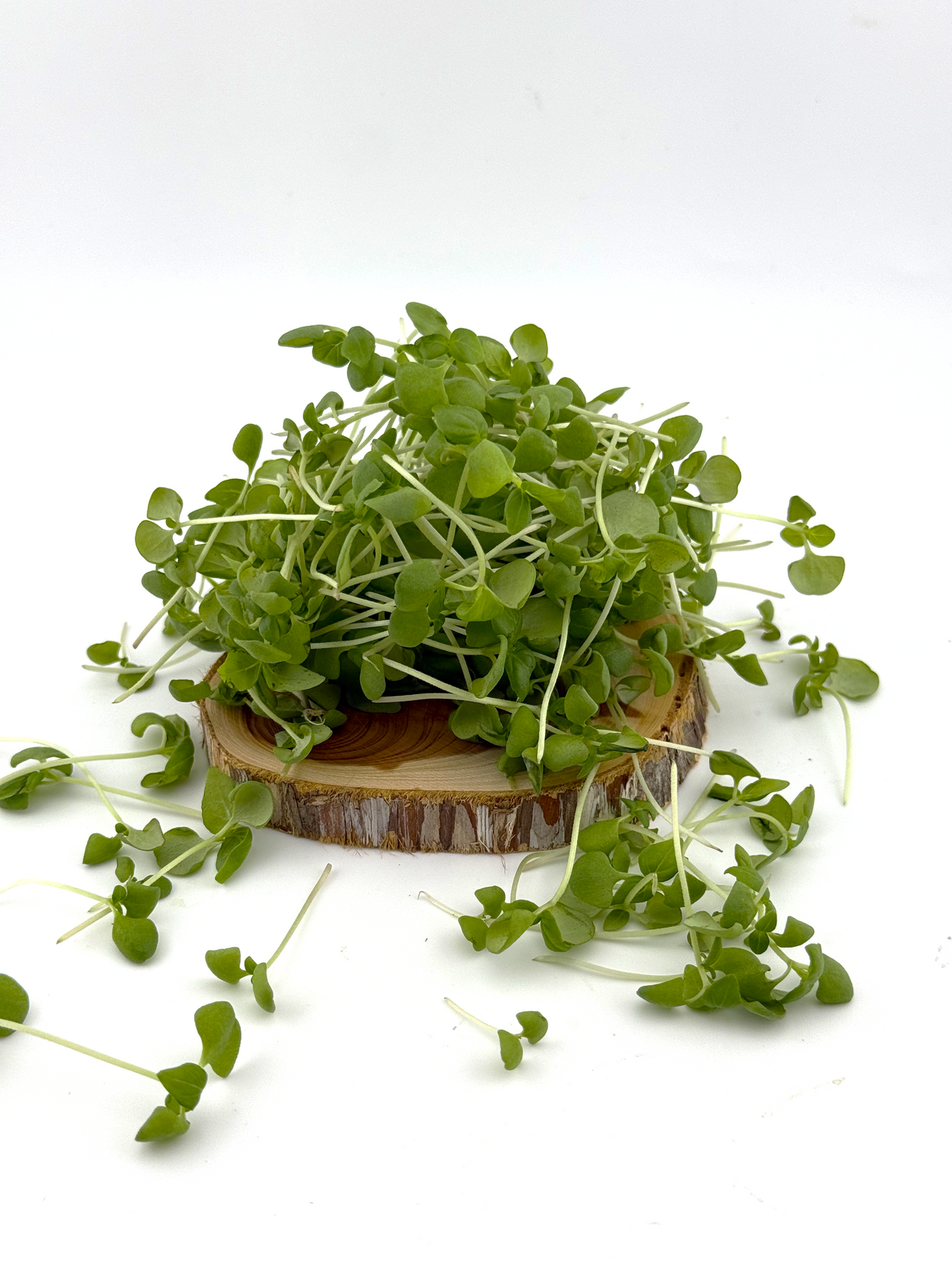 Citrus Basil Microgreen - 1oz