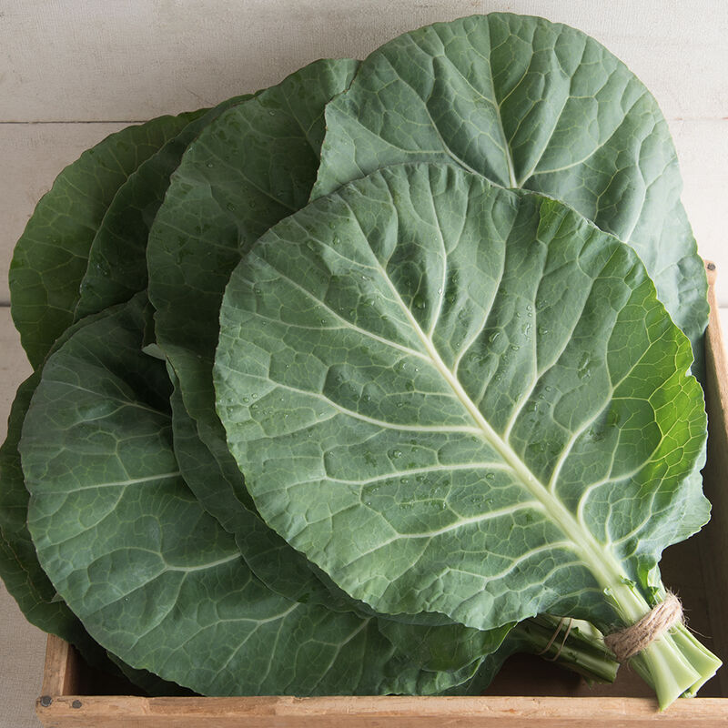 Young Collards - 6lb Case