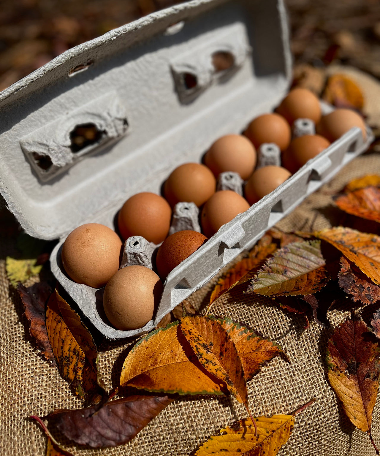 Pasture Raised Eggs