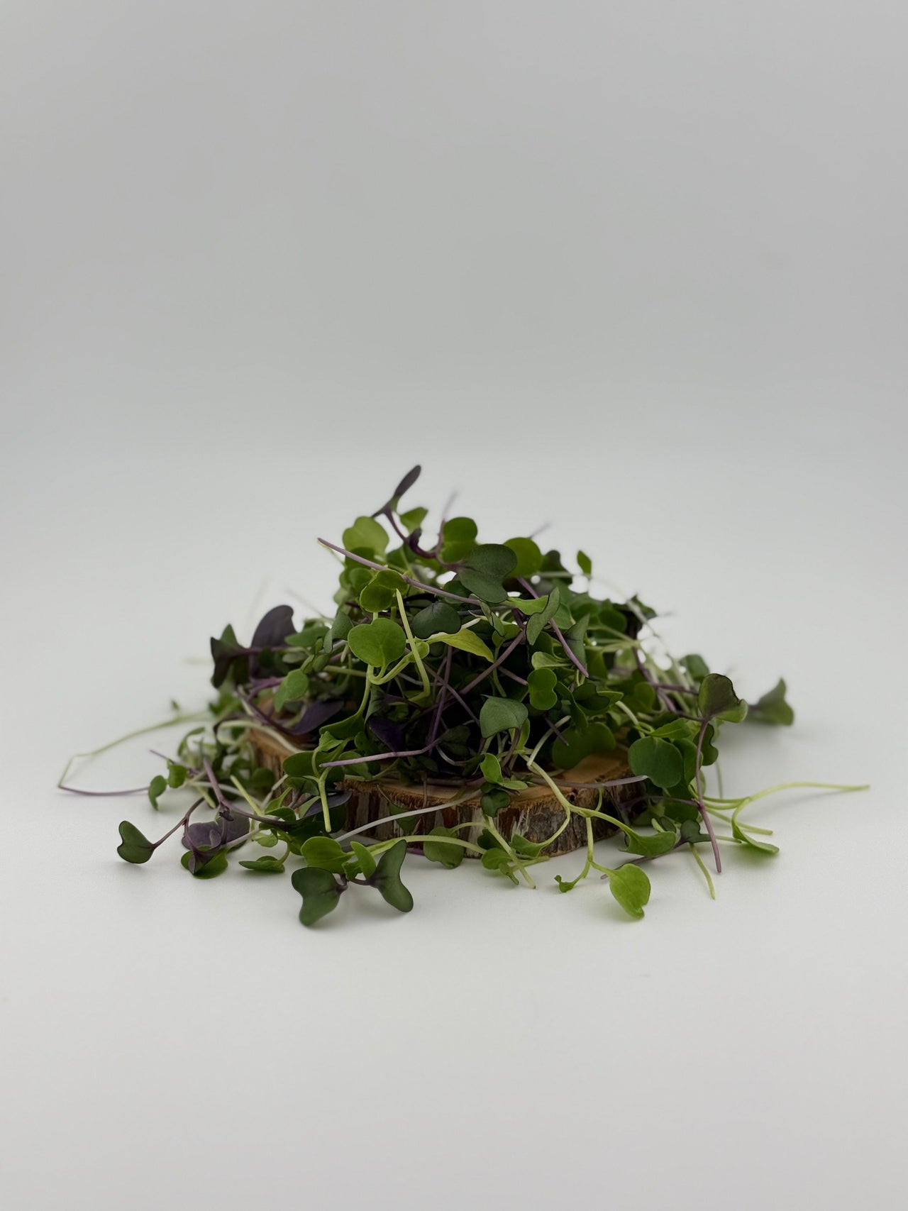 18ct - 1oz Rainbow Microgreen Mix
