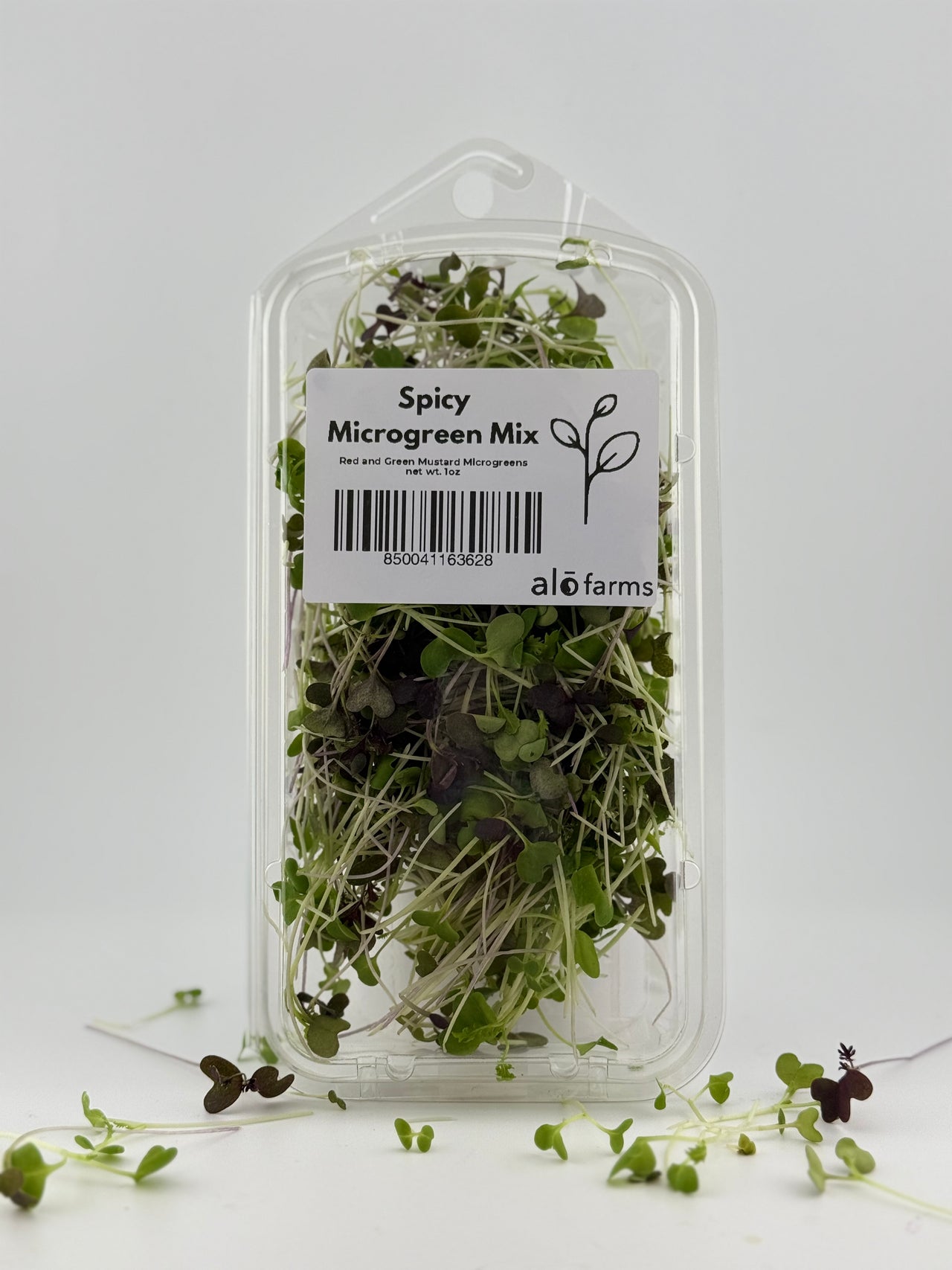 18ct - 1oz Spicy Microgreen Mix