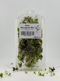 18ct - 1oz Spicy Microgreen Mix