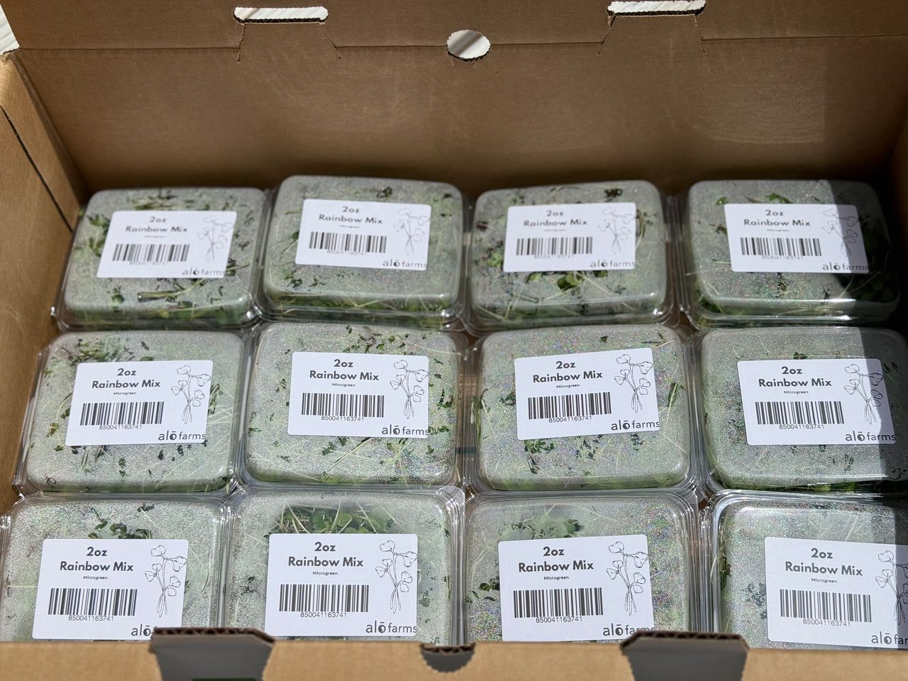 12ct Retail Case - 2oz Rainbow Mix Microgreens