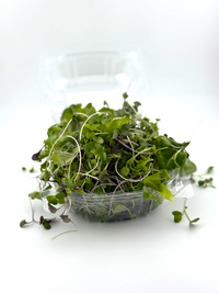 Power Salad Microgreens - 2.5 oz