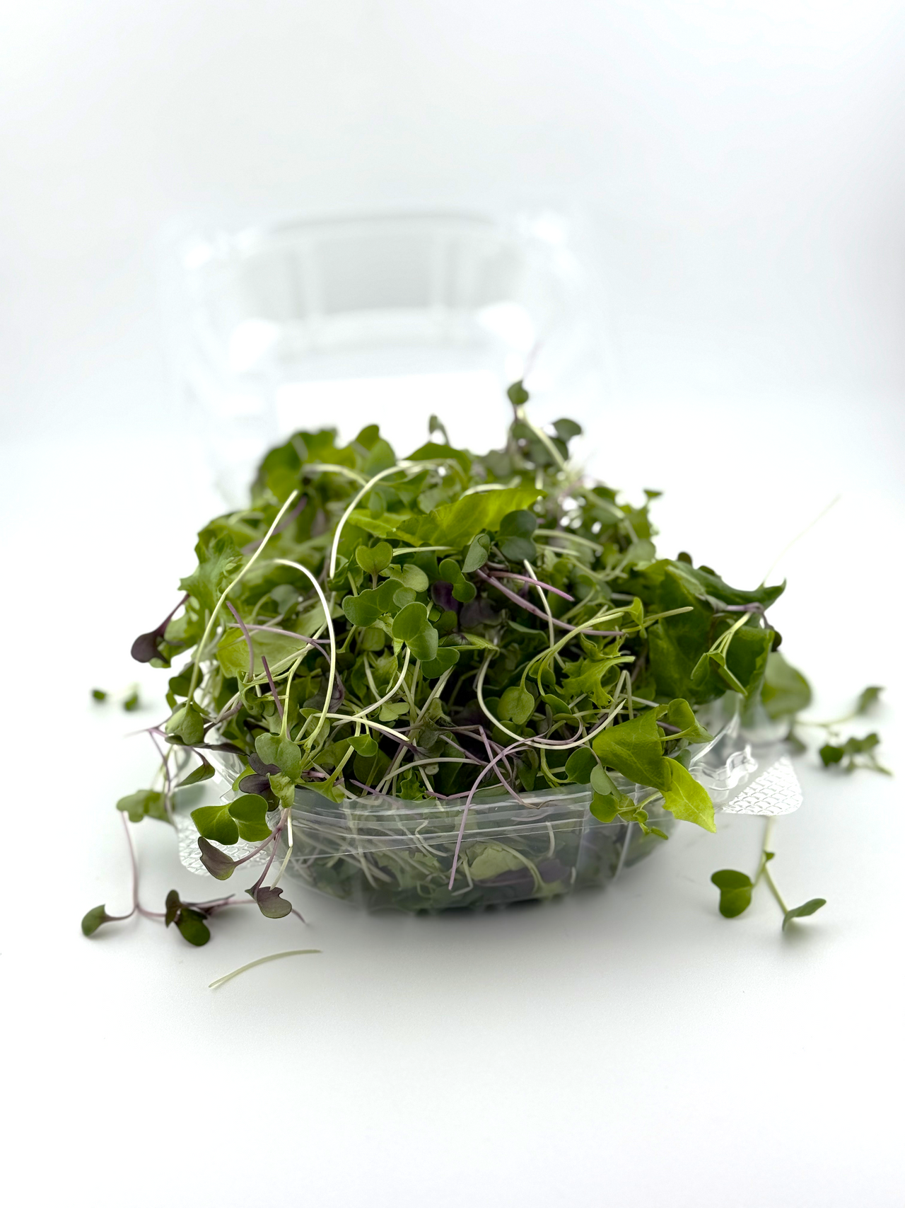 Retail Case - Power Salad Microgreens