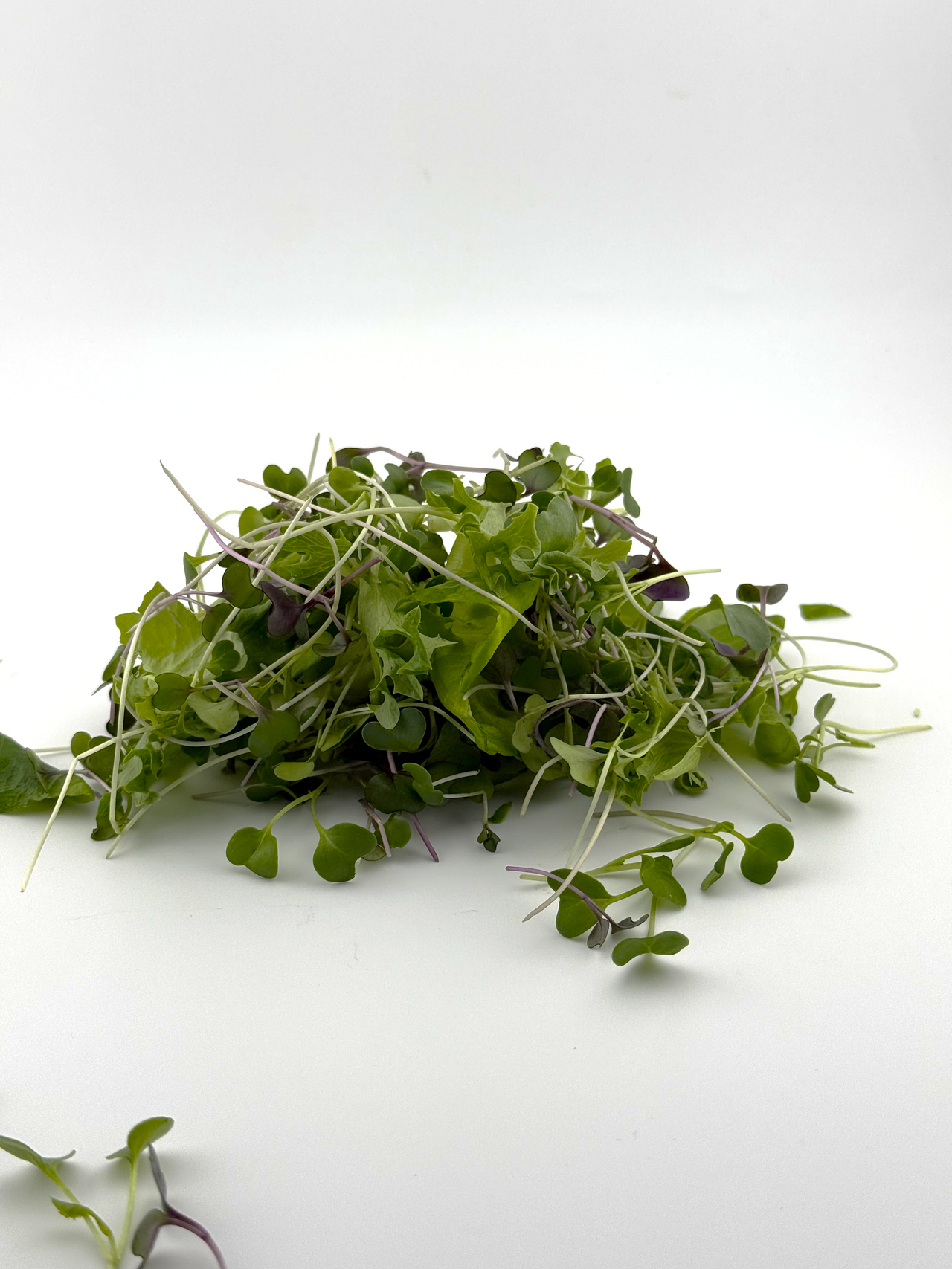 Power Salad Microgreens - 2.5 oz