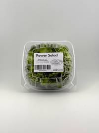 Power Salad Microgreens - 2.5 oz