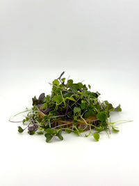 Rainbow Mix Microgreens - 2oz