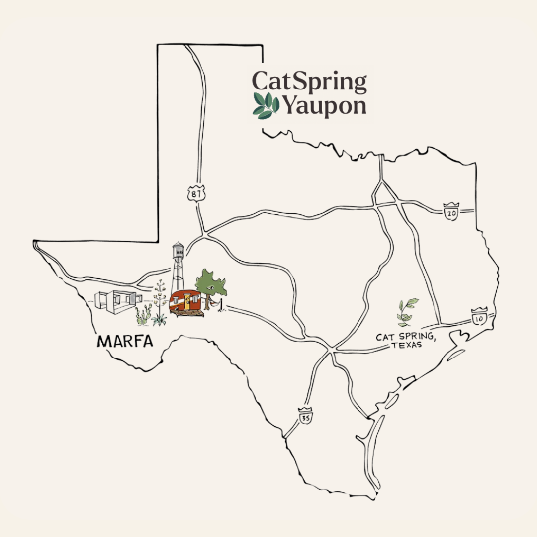 Marfa Dark Roast Yaupon - Loose Leaf & Teabag Individually wrapped yaupon teabags