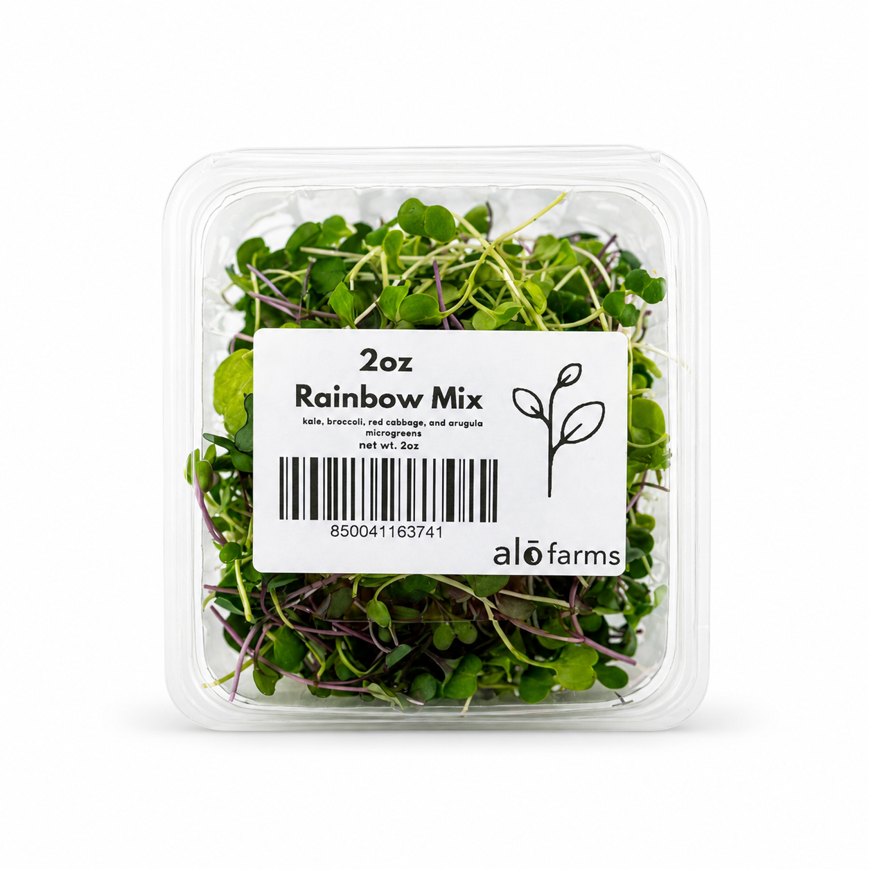 Rainbow Mix Microgreens - 2oz