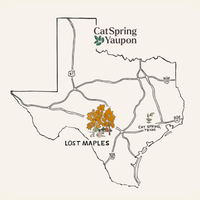 Lost Maples Medium Roast Yaupon – Loose Leaf & Teabag Individually wrapped yaupon teabags