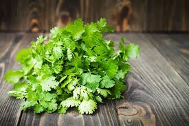 Cilantro - 1 lb