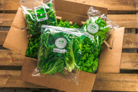 12ct Retail Case - Collards