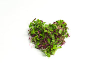 Thumbnail for Rainbow Microgreen Mix - 5oz Retail