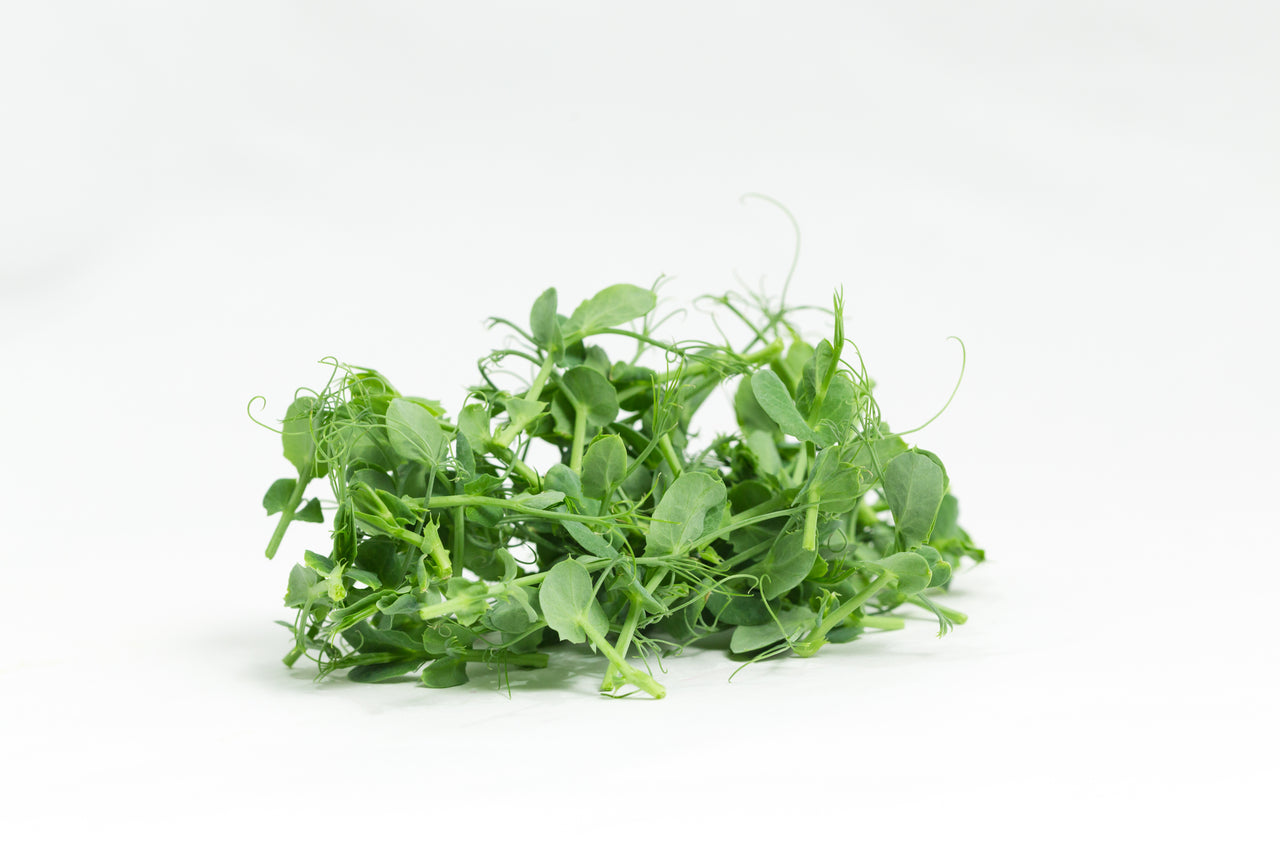 Pea Tendrils 1 oz
