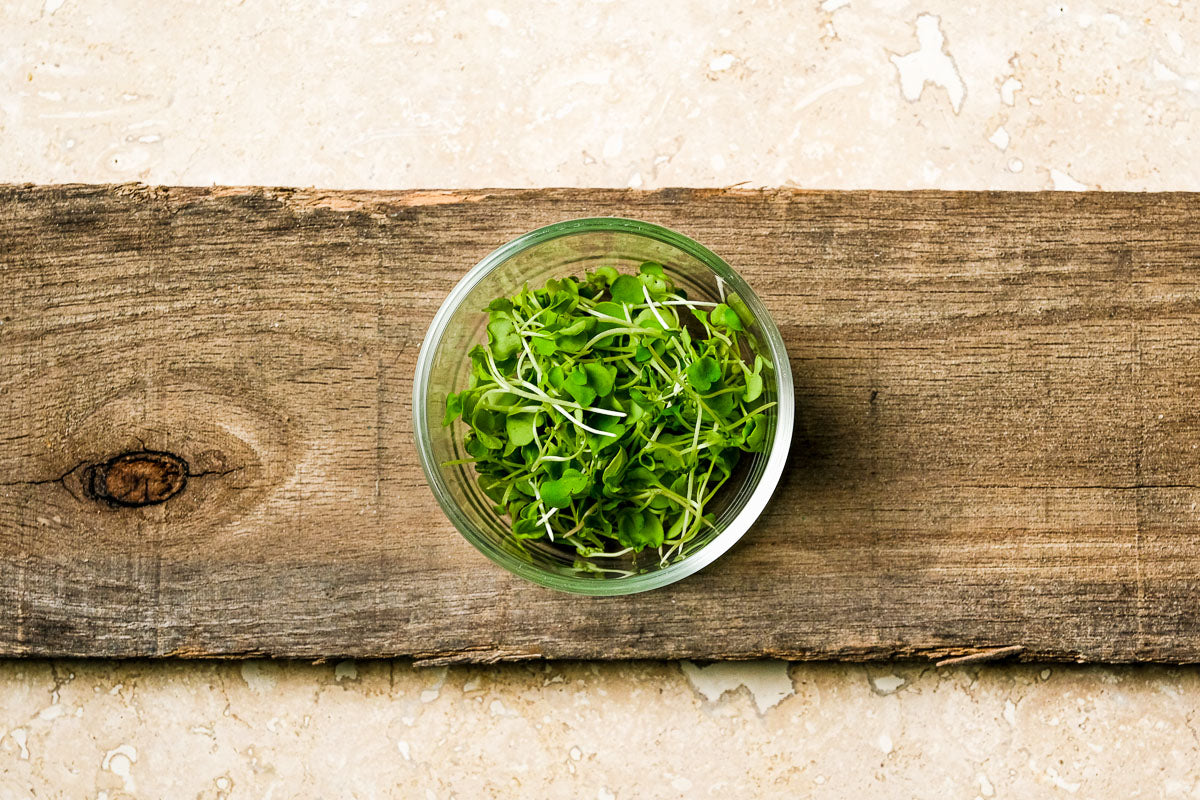 Arugula Microgreen