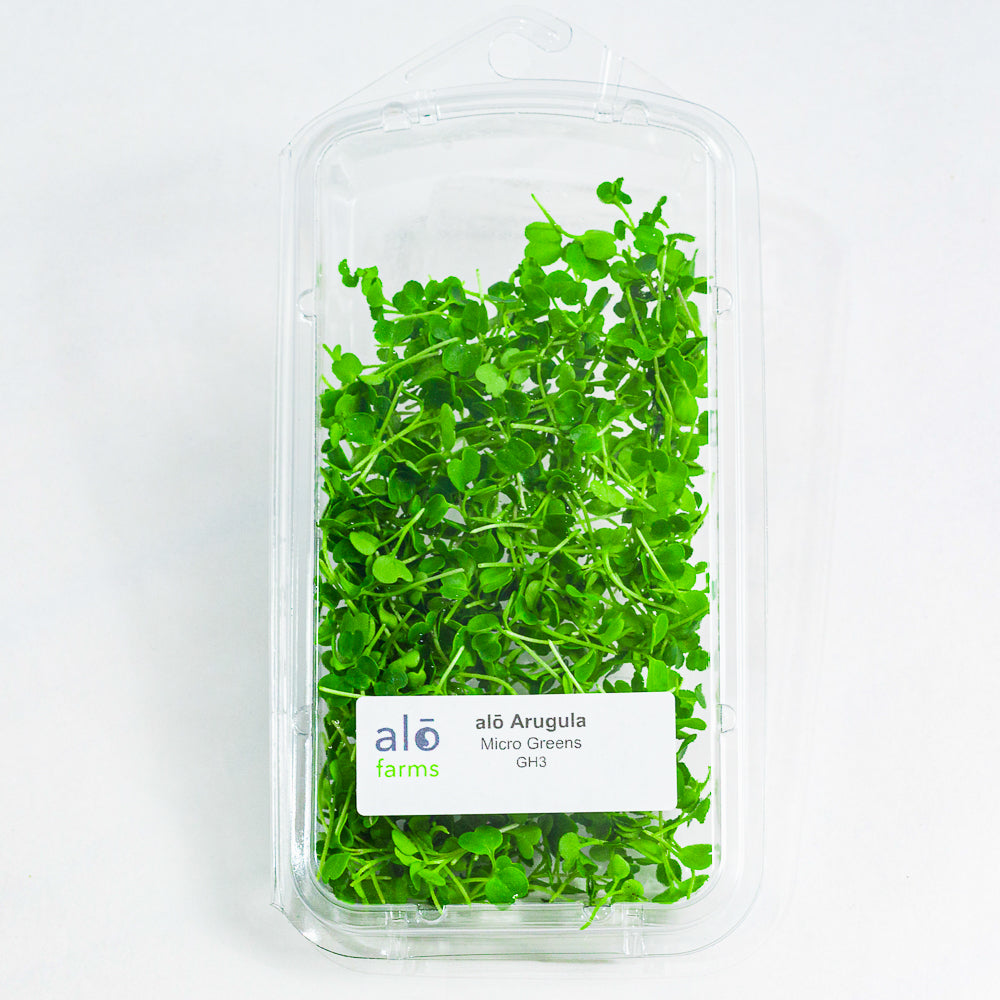 Arugula Microgreen