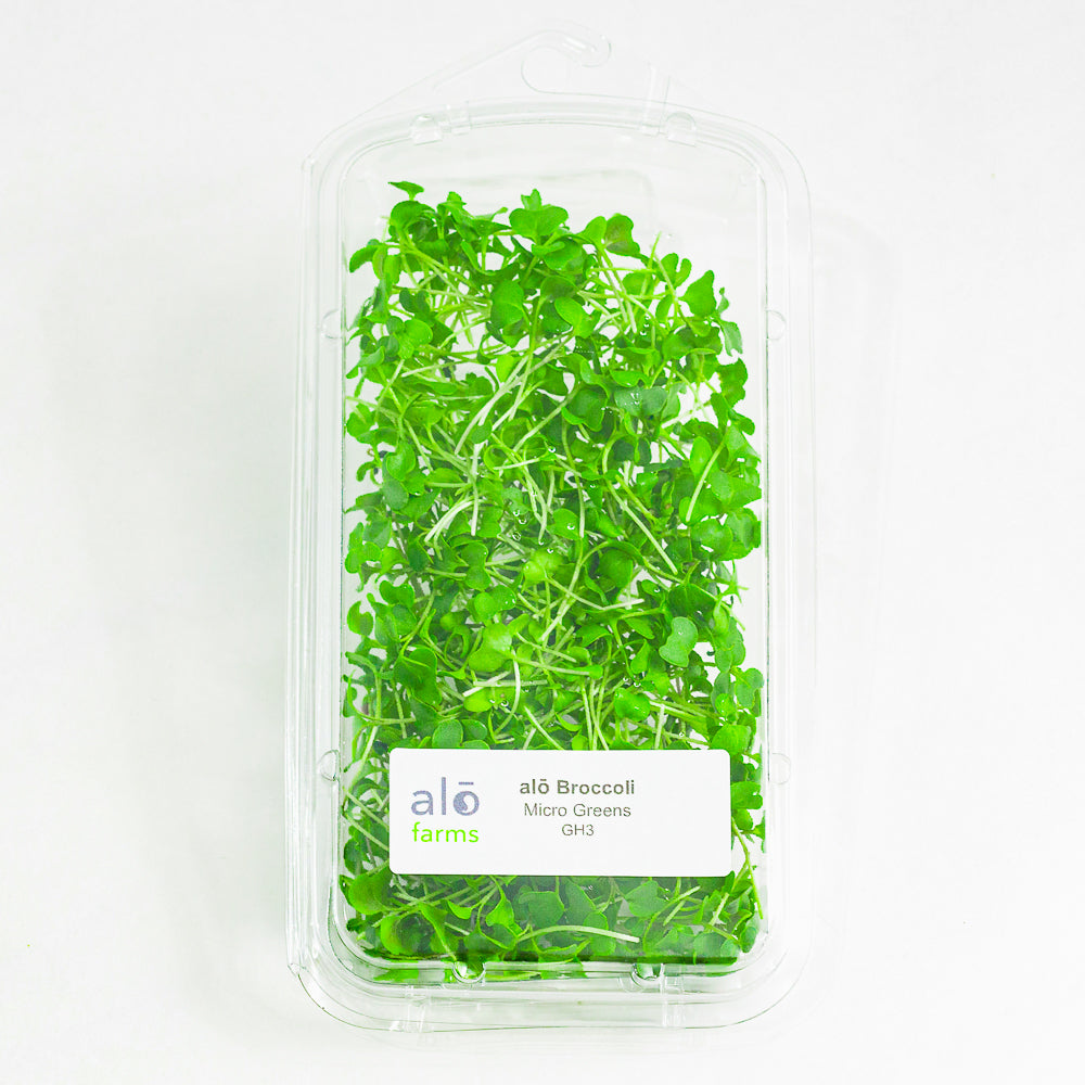 Broccoli Microgreen .75 oz