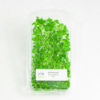 Thumbnail for Broccoli Microgreen .75 oz