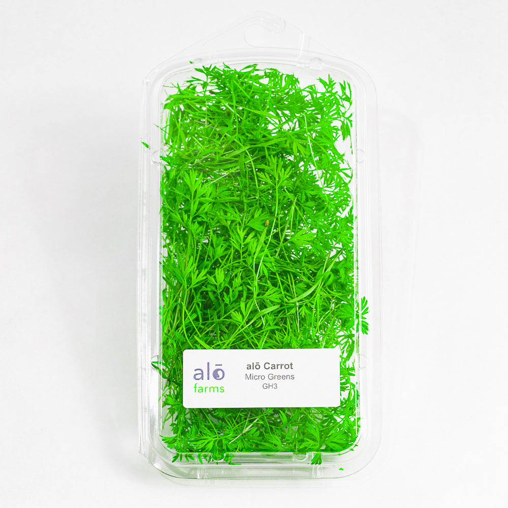 Carrot Microgreen .75 oz