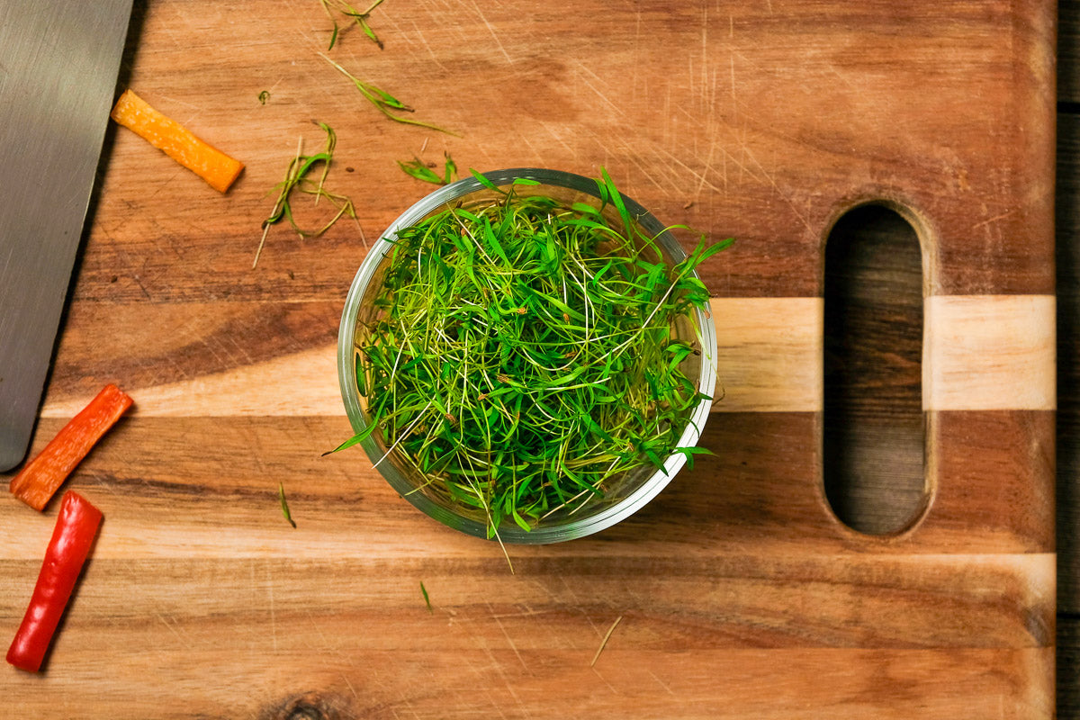 Carrot Microgreen .75 oz