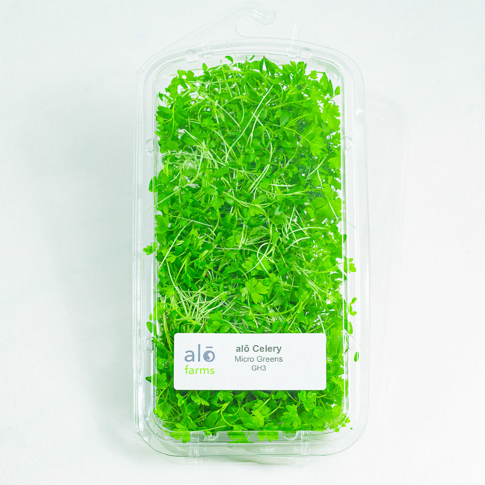 Celery Microgreen .75 oz