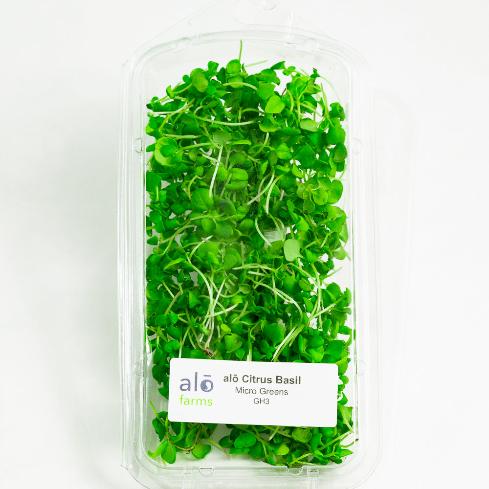 Citrus Basil Microgreen .75 oz