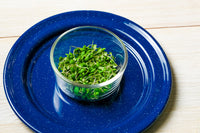 Citrus Basil Microgreen
